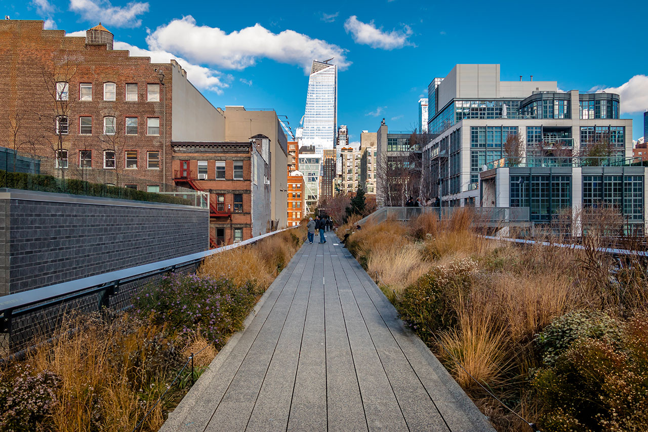 Credit Photo diegograndi via Envato
High line New York