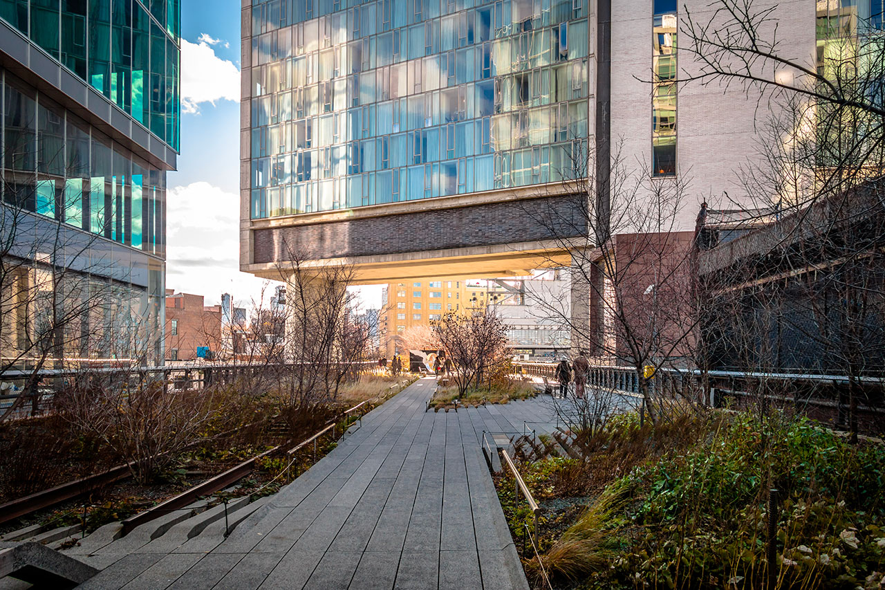 De la vía férrea al parque suspendido: el renacimiento de la High Line